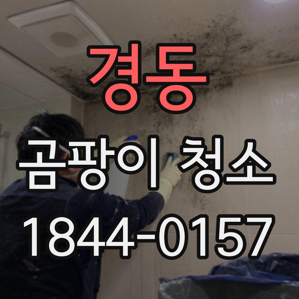 경동 곰팡이 청소