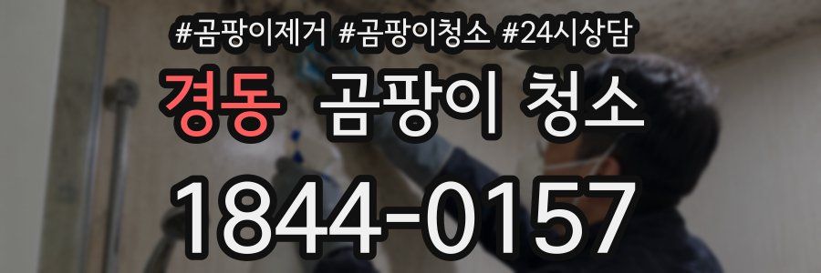 경동 곰팡이 청소