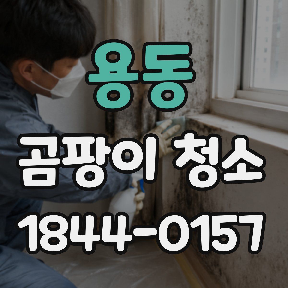 용동 곰팡이 청소
