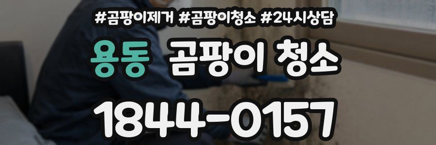 용동 곰팡이 청소