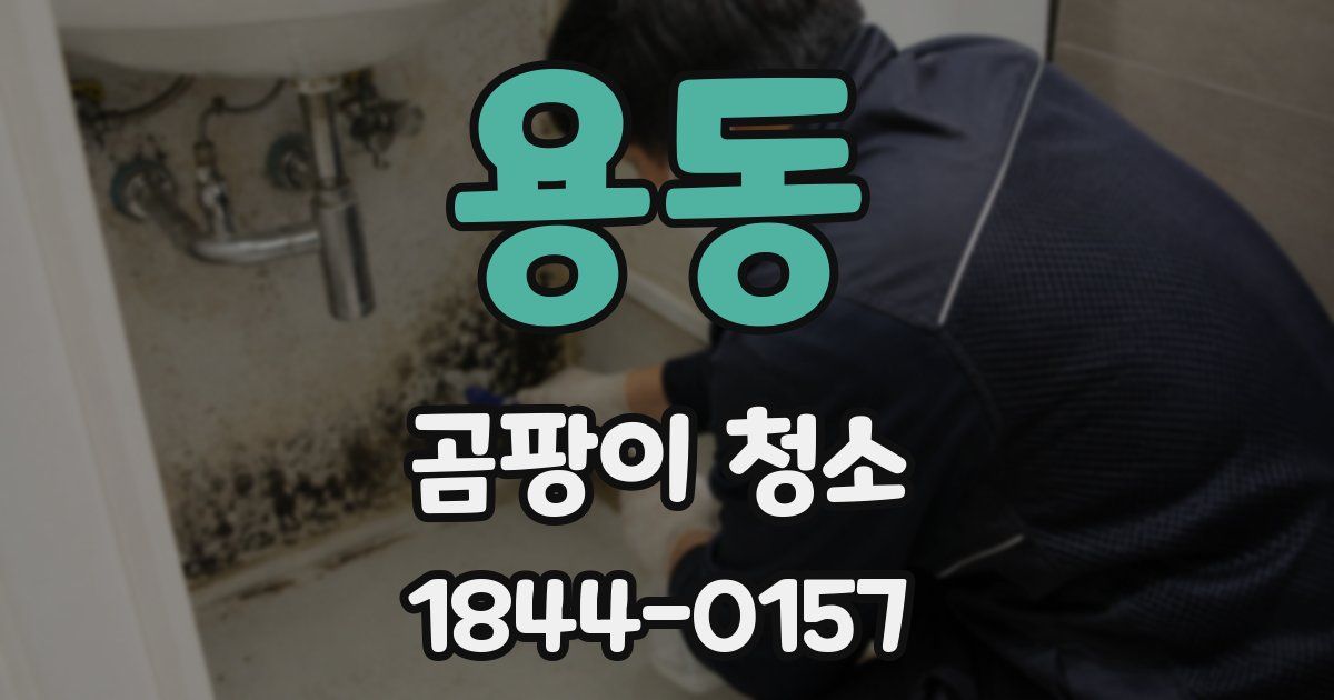 용동 곰팡이 청소
