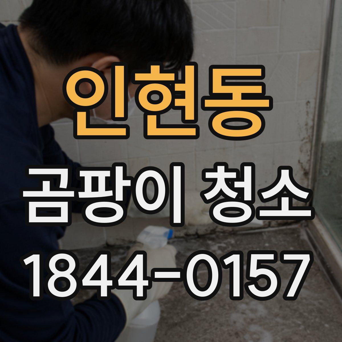 인현동 곰팡이 청소
