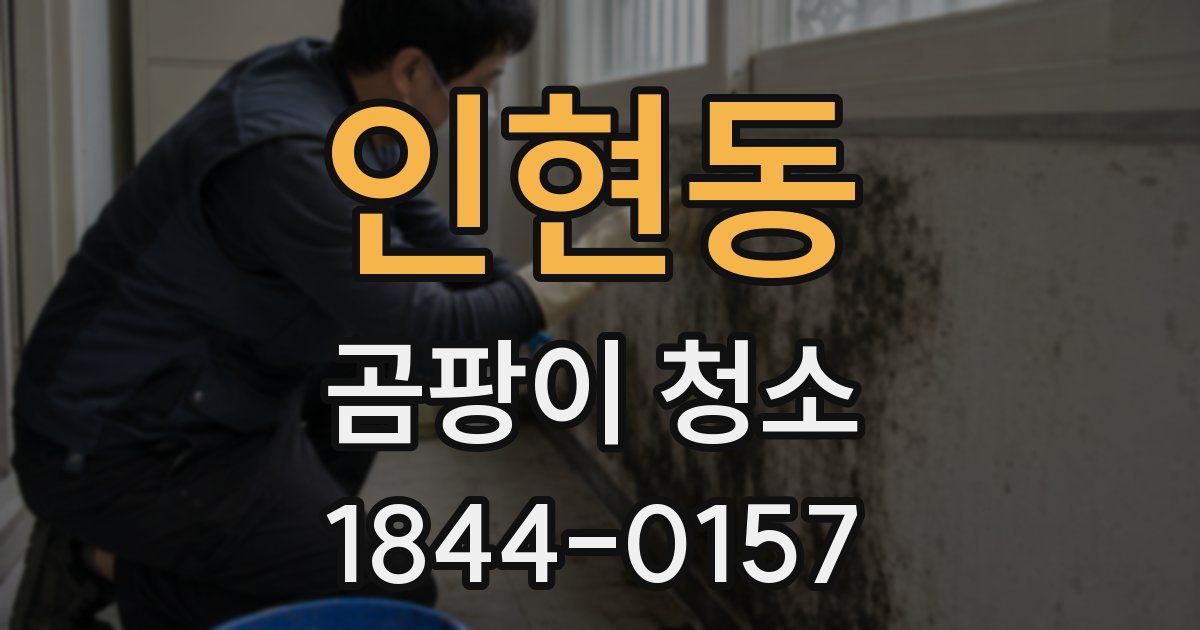 인현동 곰팡이 청소