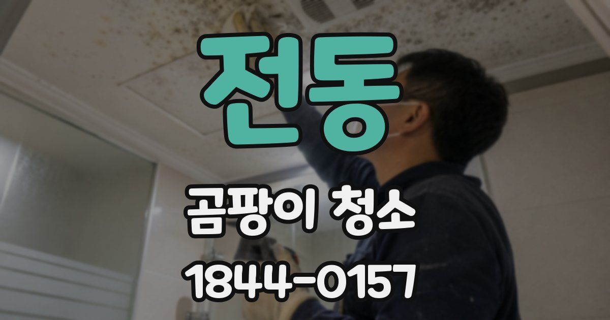 전동 곰팡이 청소