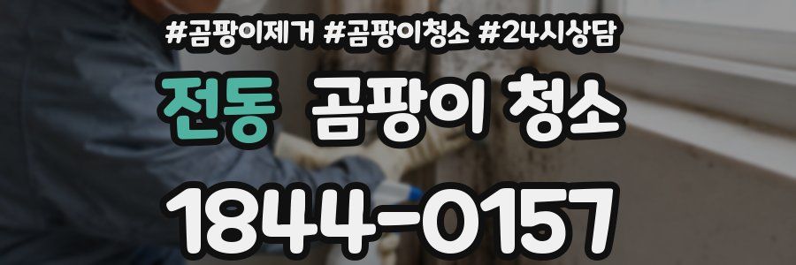 전동 곰팡이 청소