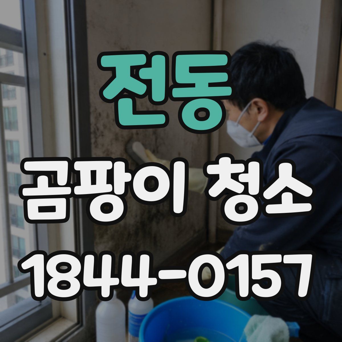전동 곰팡이 청소