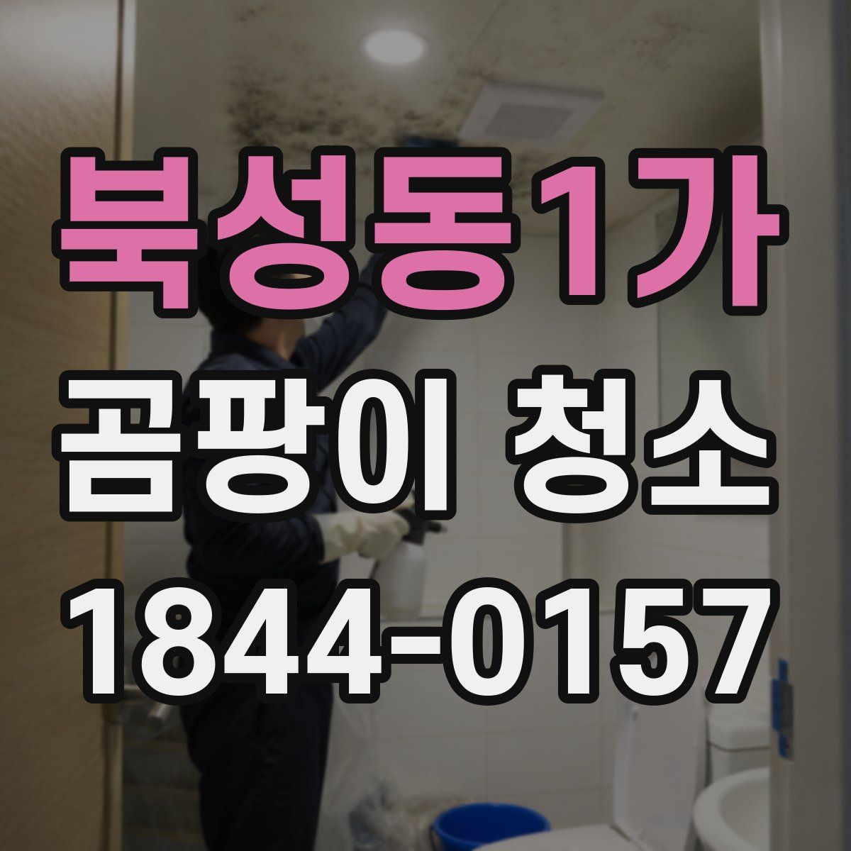 북성동1가 곰팡이 청소