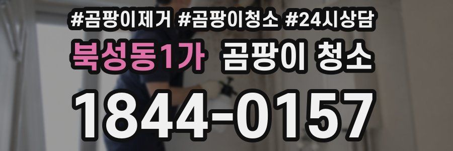북성동1가 곰팡이 청소