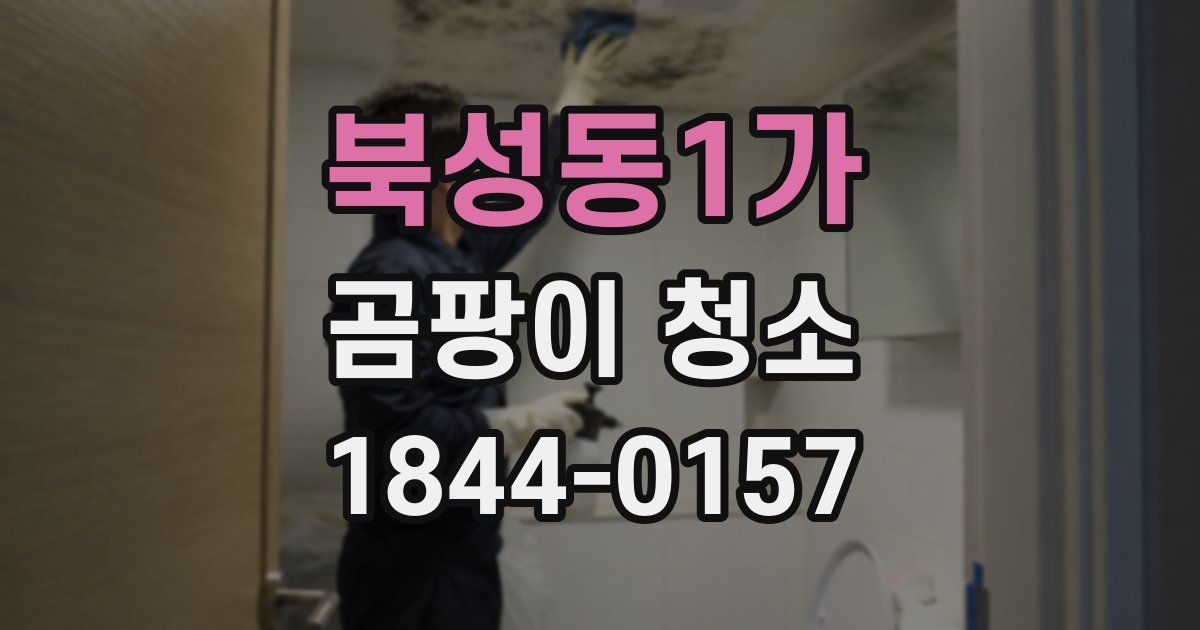 북성동1가 곰팡이 청소