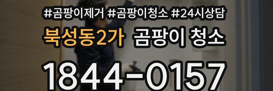북성동2가 곰팡이 청소