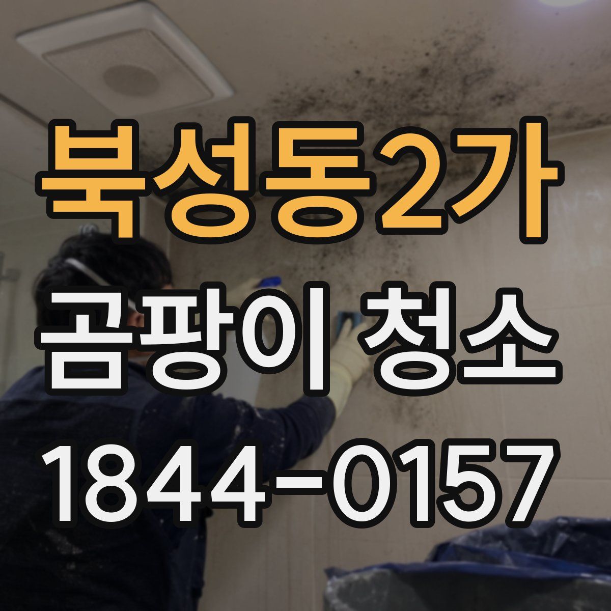 북성동2가 곰팡이 청소