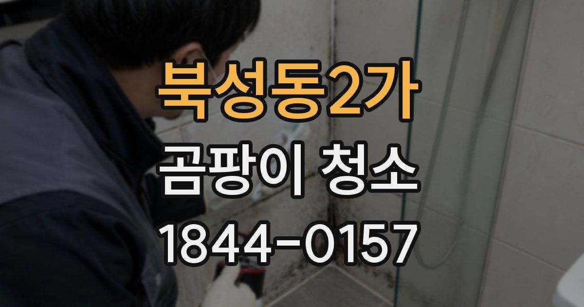 북성동2가 곰팡이 청소
