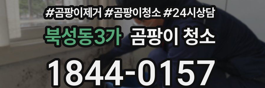 북성동3가 곰팡이 청소