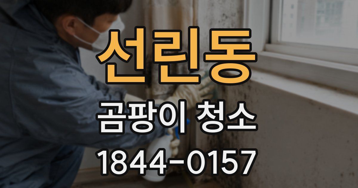 선린동 곰팡이 청소