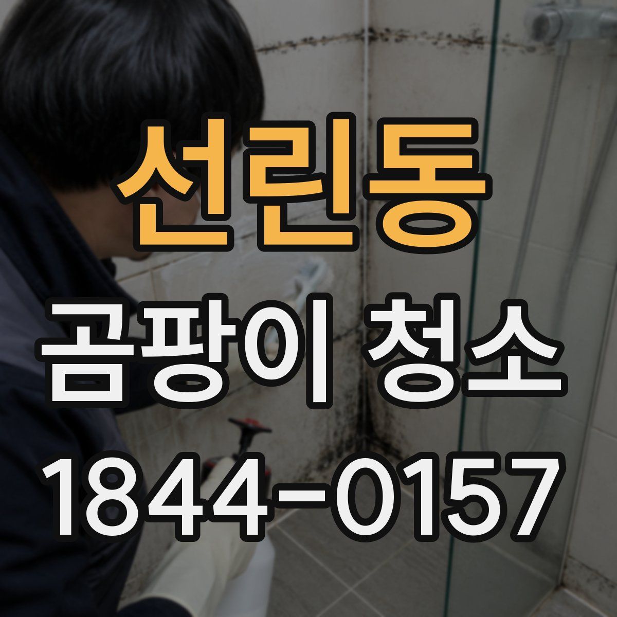 선린동 곰팡이 청소