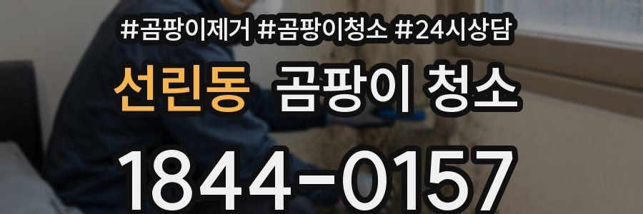 선린동 곰팡이 청소