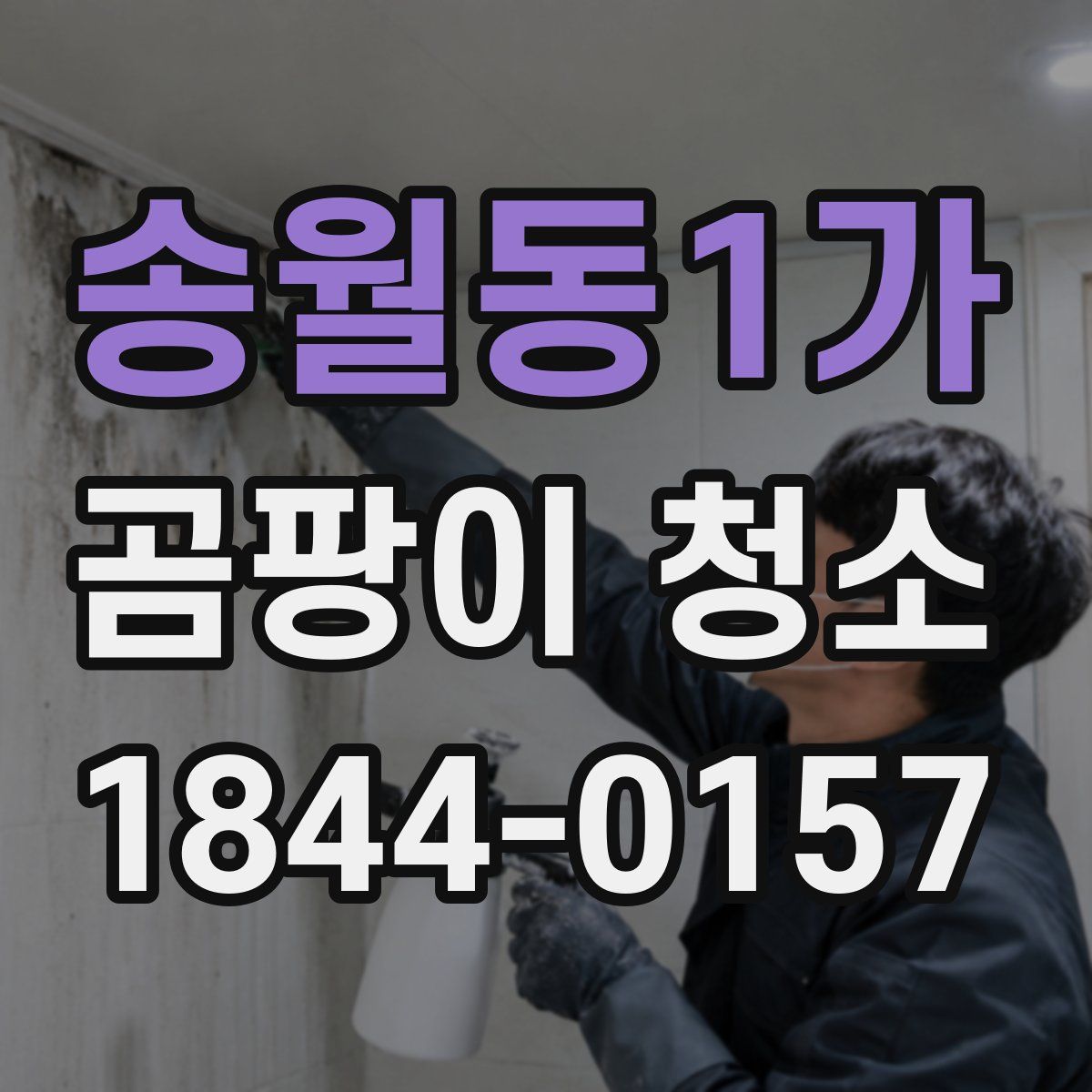 송월동1가 곰팡이 청소