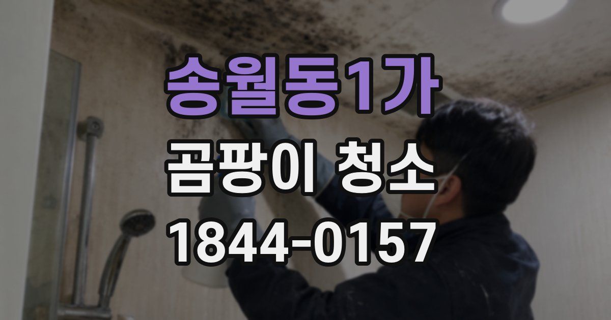 송월동1가 곰팡이 청소