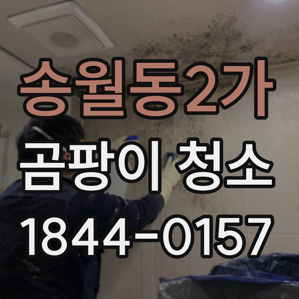 송월동2가 곰팡이 청소
