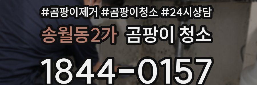 송월동2가 곰팡이 청소