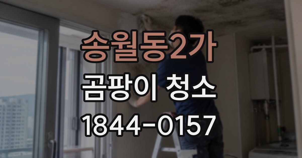 송월동2가 곰팡이 청소