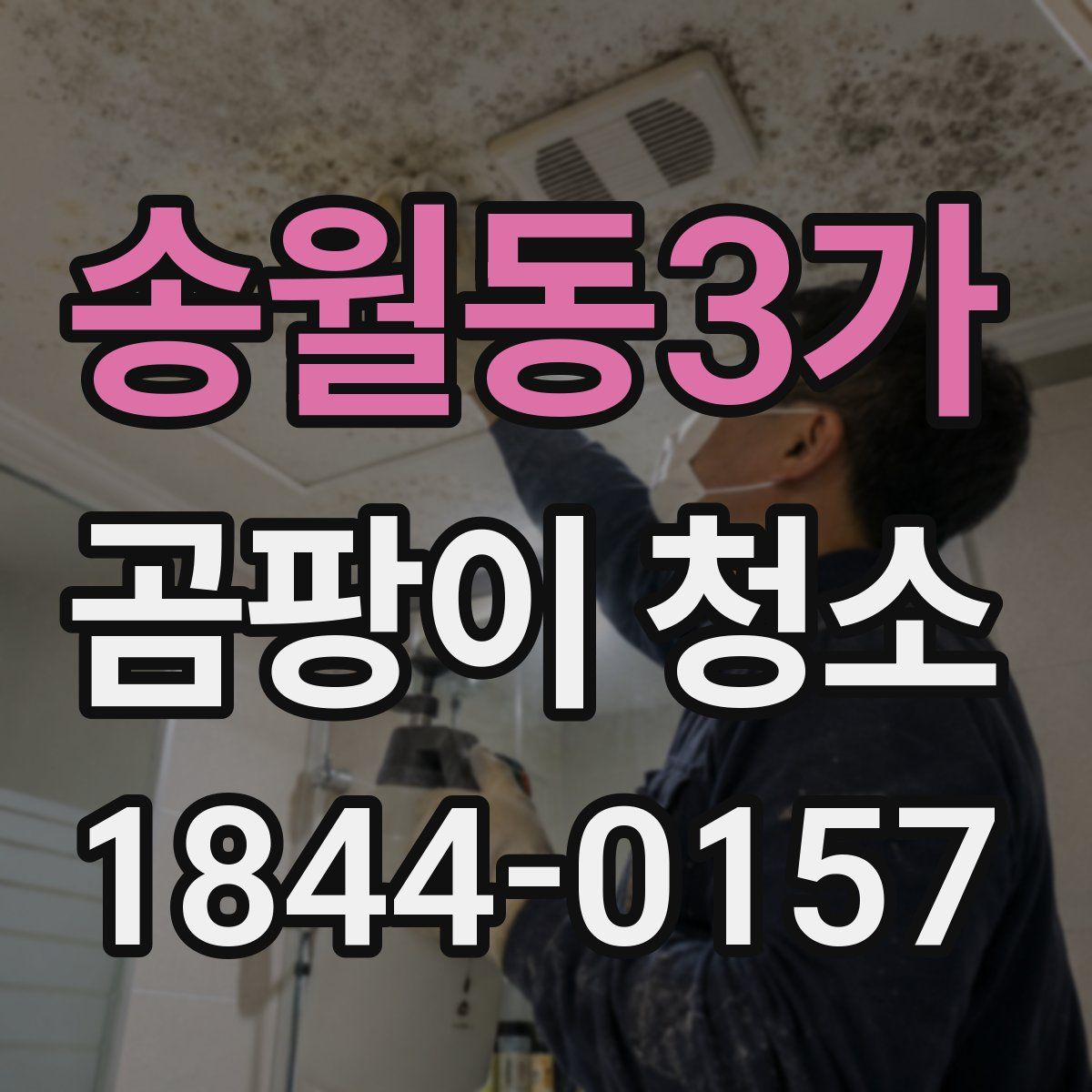 송월동3가 곰팡이 청소