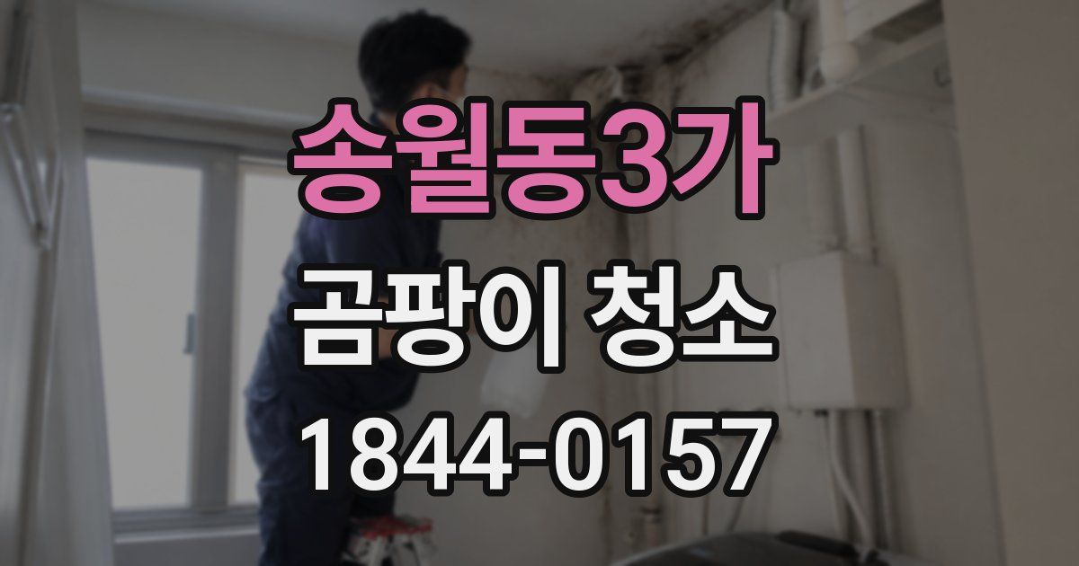 송월동3가 곰팡이 청소