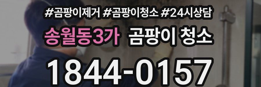 송월동3가 곰팡이 청소