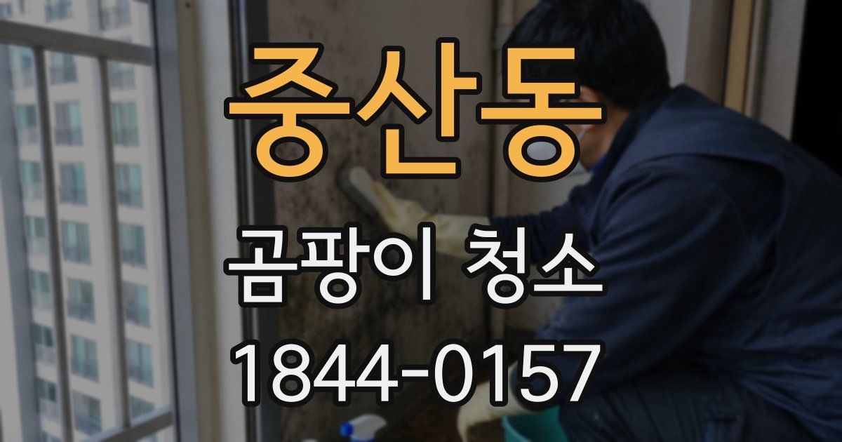 중산동 곰팡이 청소