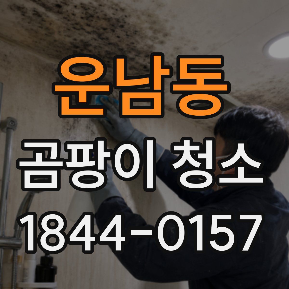 운남동 곰팡이 청소