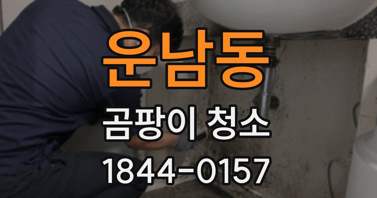 운남동 곰팡이 청소