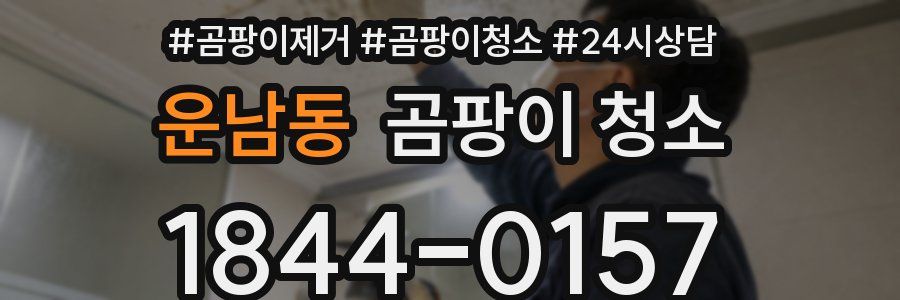 운남동 곰팡이 청소