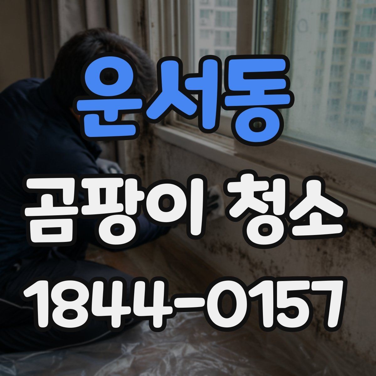 운서동 곰팡이 청소 곰팡이 종류에 따라 달라지는 부위별 접근