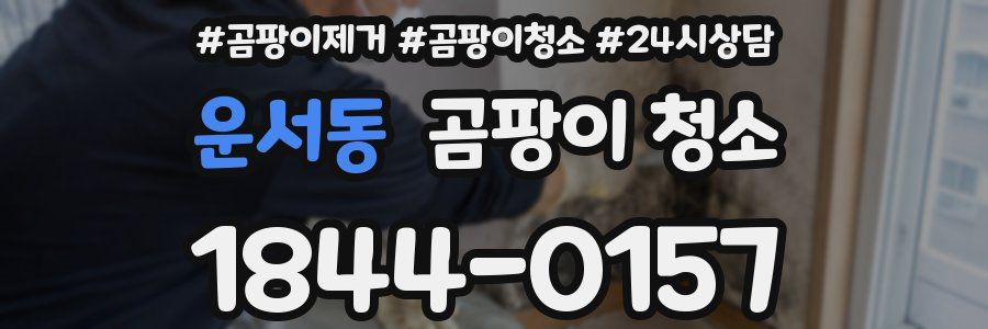 운서동 곰팡이 청소
