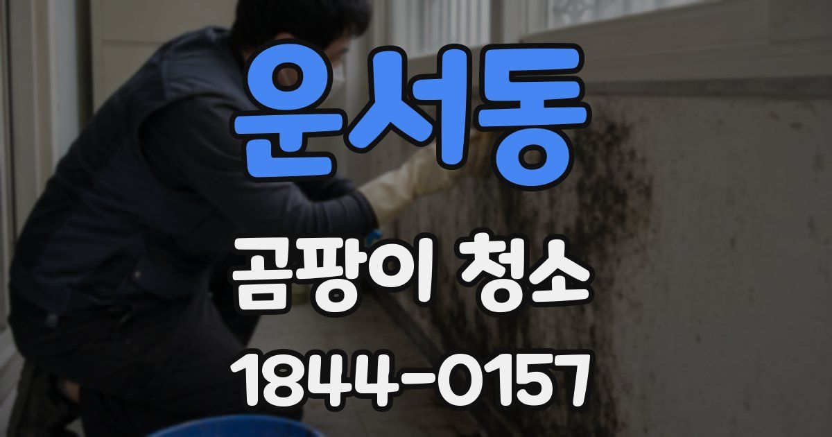 운서동 곰팡이 청소