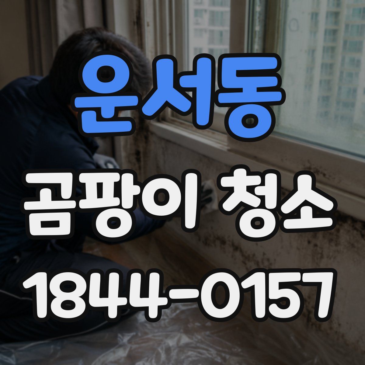 운서동 곰팡이 청소