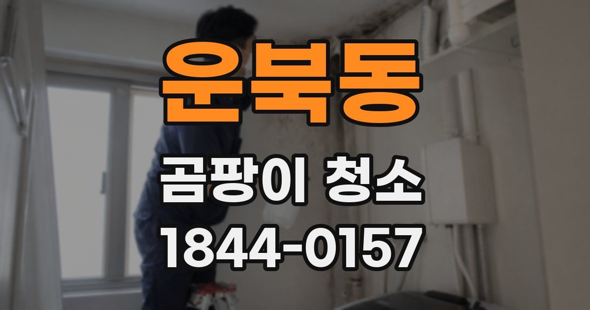 운북동 곰팡이 청소