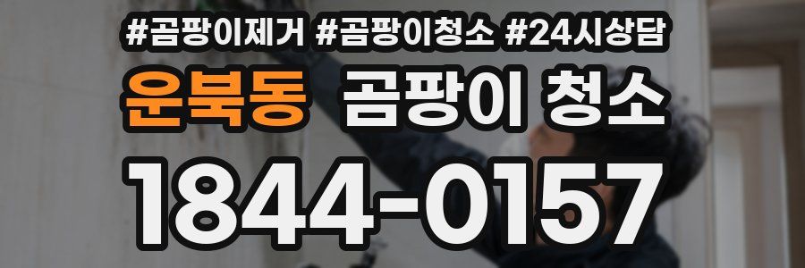 운북동 곰팡이 청소