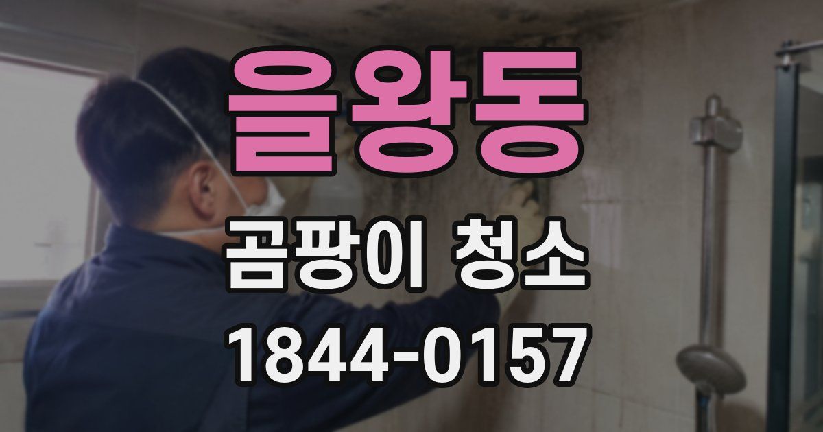 을왕동 곰팡이 청소