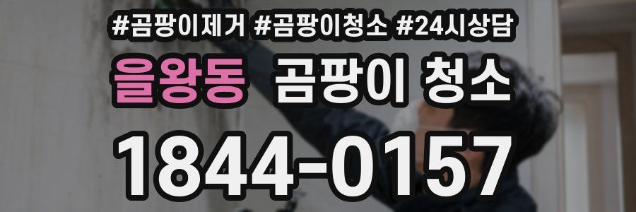 을왕동 곰팡이 청소