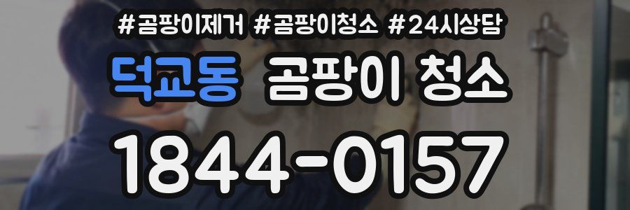 덕교동 곰팡이 청소