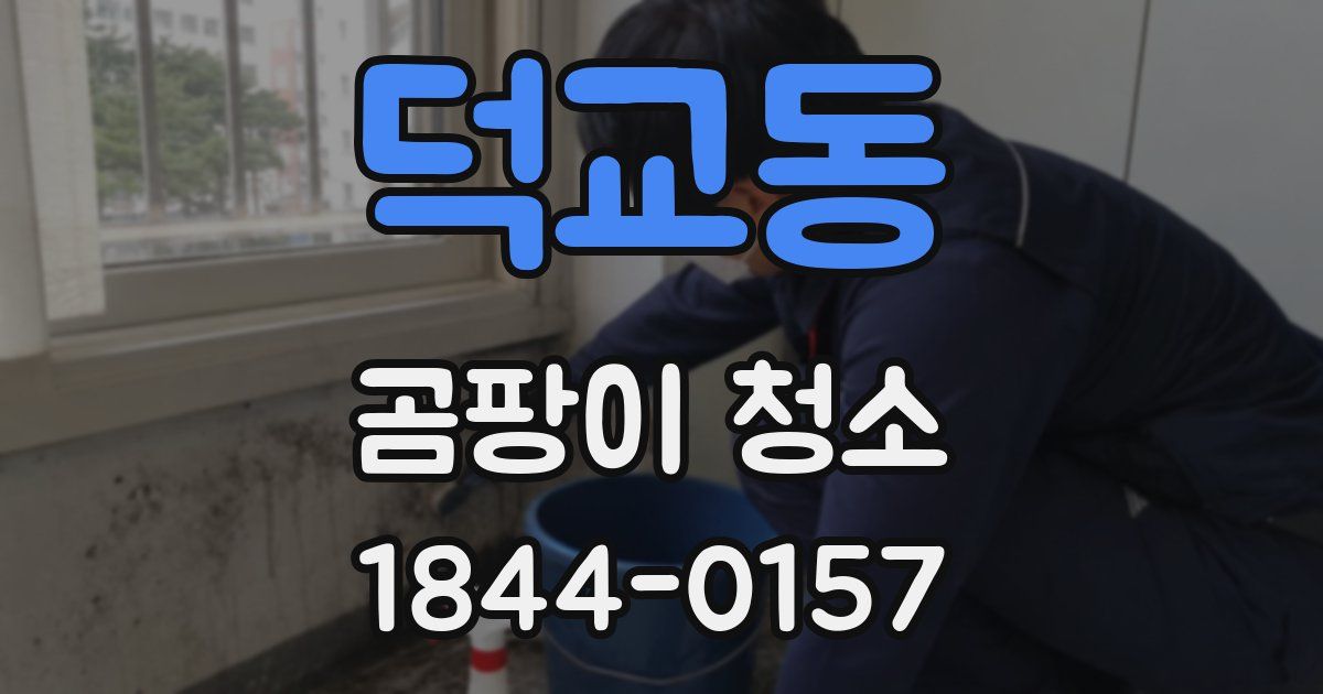 덕교동 곰팡이 청소