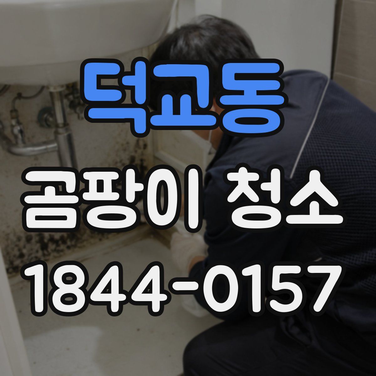 덕교동 곰팡이 청소