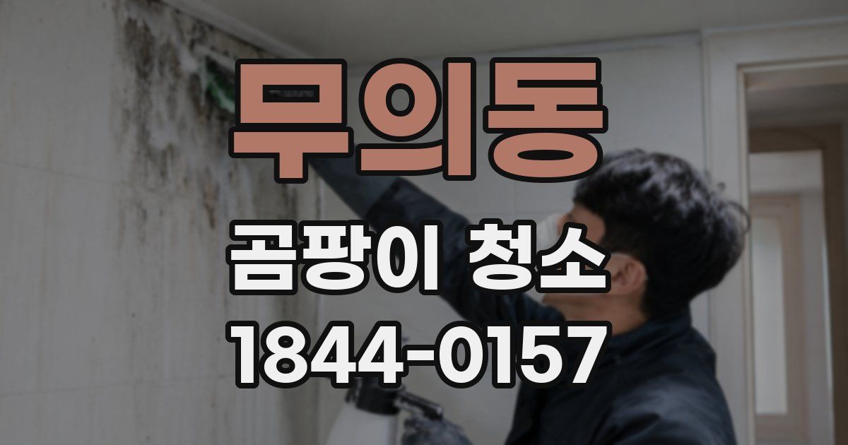 무의동 곰팡이 청소