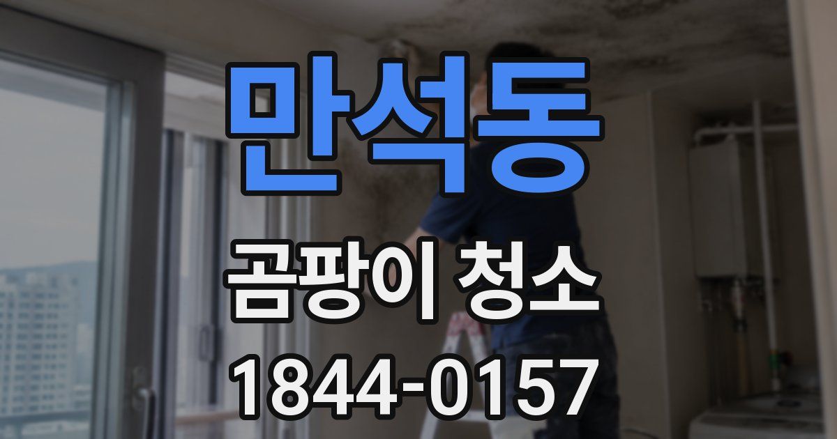 만석동 곰팡이 청소