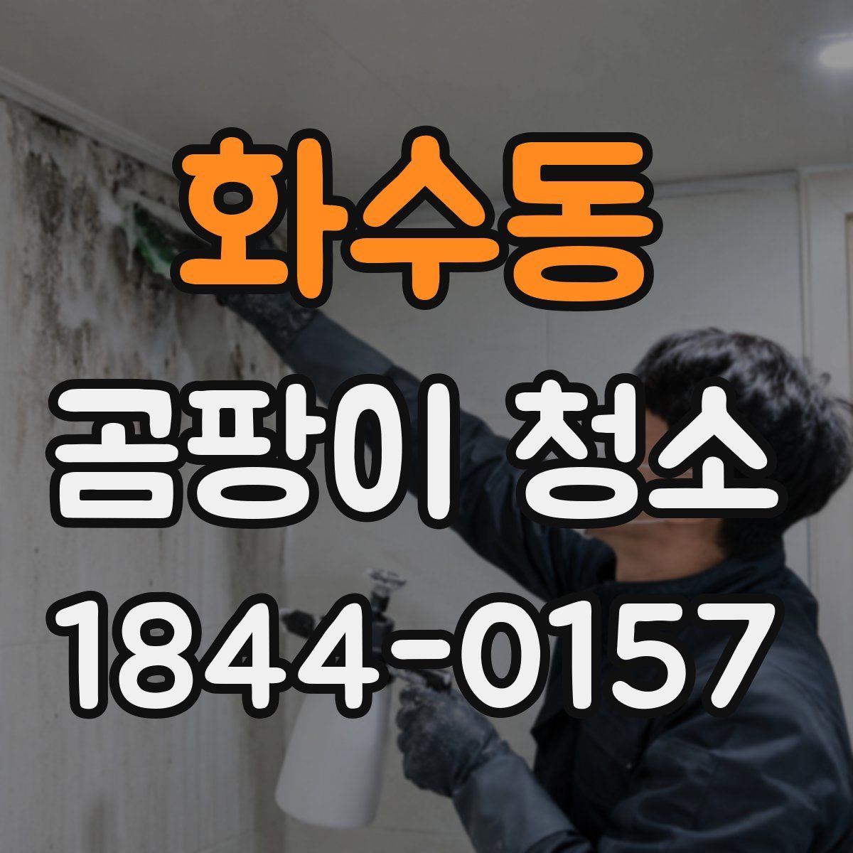 화수동 곰팡이 청소