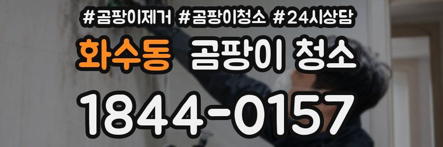 화수동 곰팡이 청소