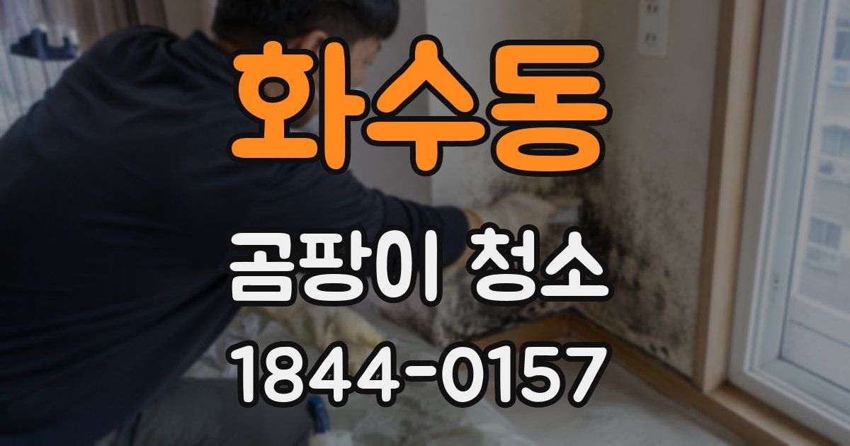 화수동 곰팡이 청소