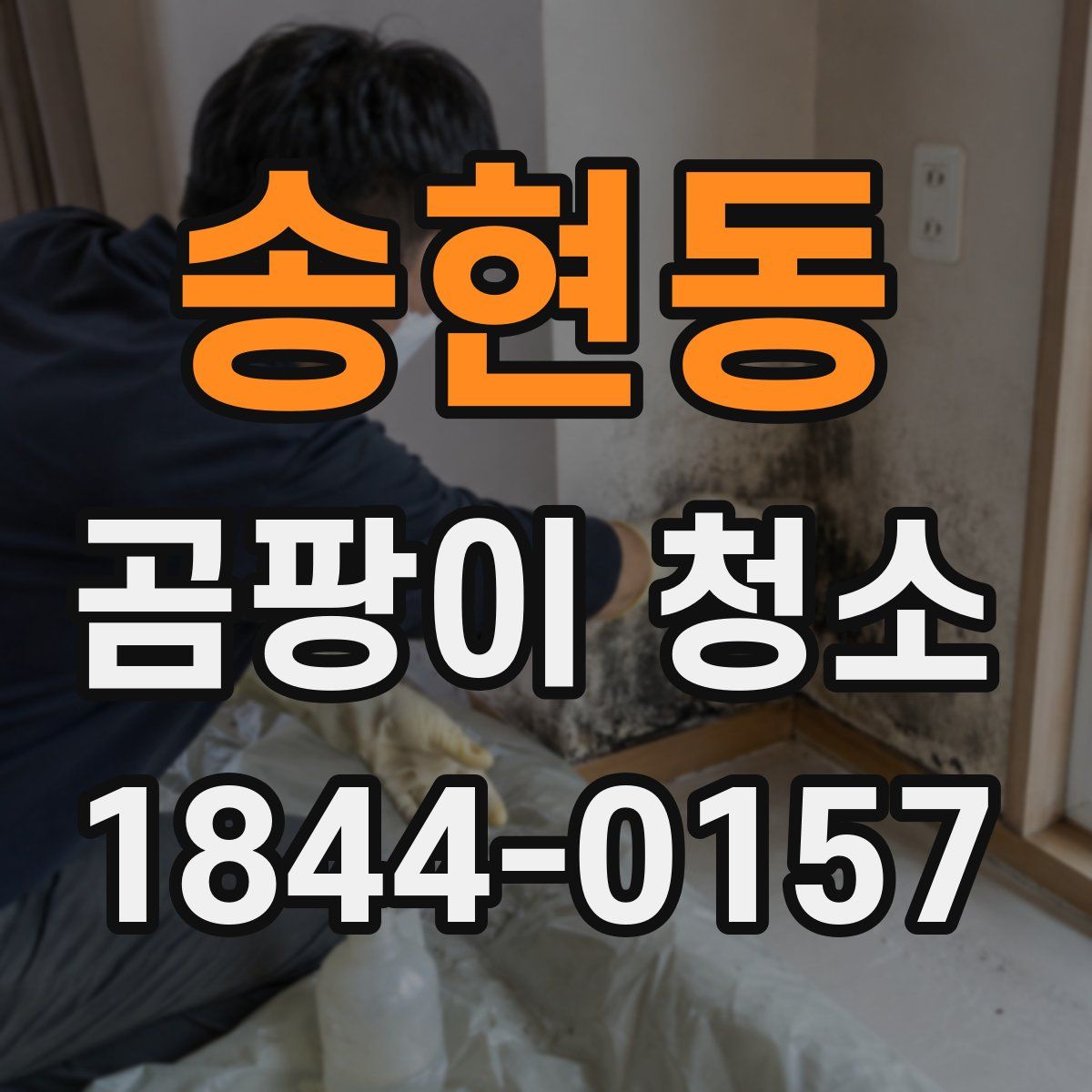 송현동 곰팡이 청소