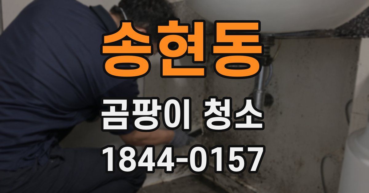 송현동 곰팡이 청소